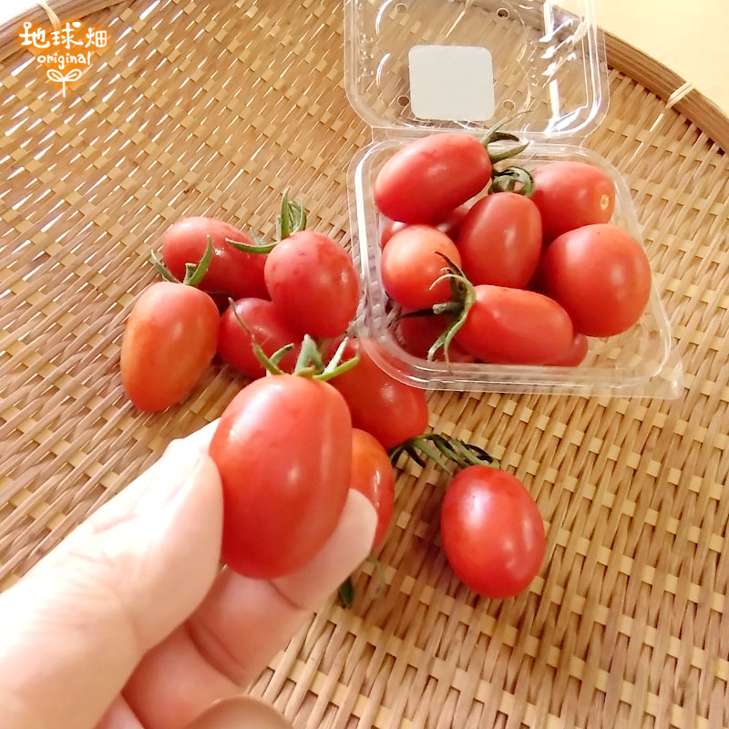オーガニック ミニトマト(アイコ) 有機栽培 150g×16p 鹿児島県産 冷蔵