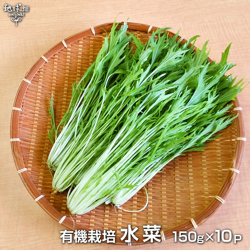 無農薬水菜