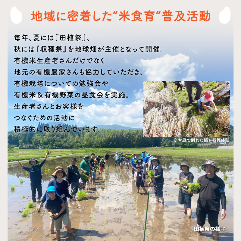 無農薬もち米