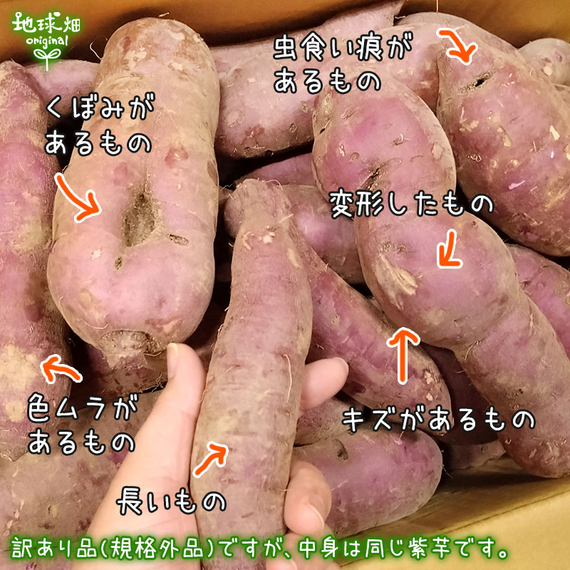 訳あり 紫芋 4kg 農薬・化学肥料不使用 鹿児島県産 訳アリ B品 土付き