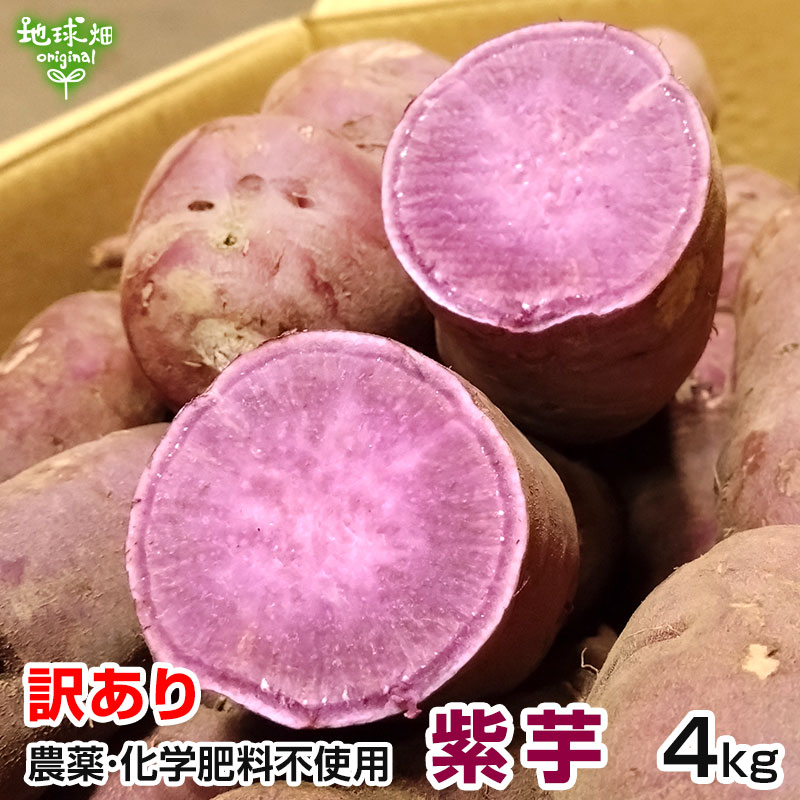 訳あり 紫芋 4kg 農薬・化学肥料不使用 鹿児島県産 訳アリ B品 土付き