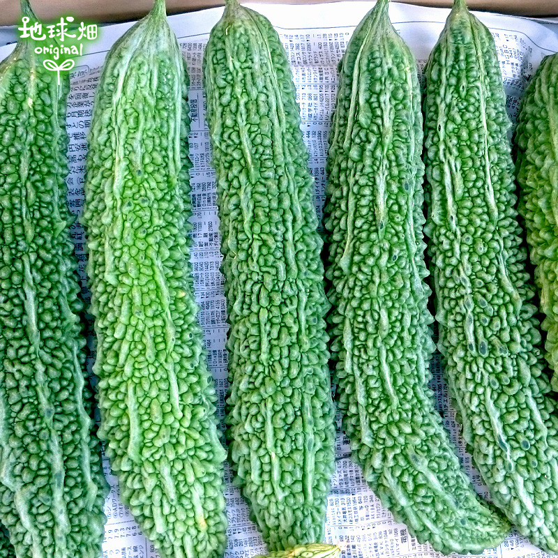 無農薬にがうり