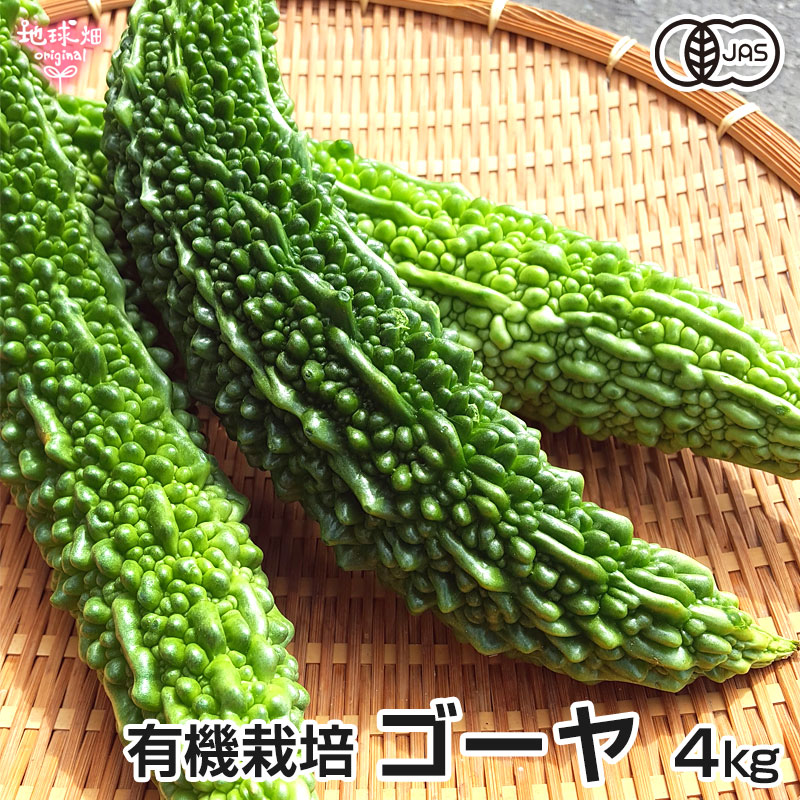 無農薬にがうり