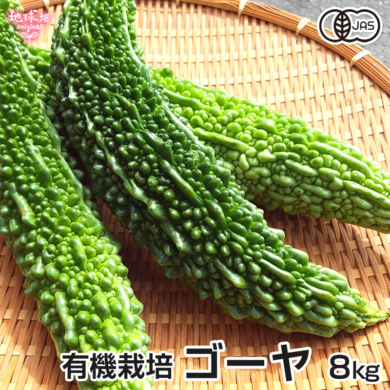 無農薬にがうり