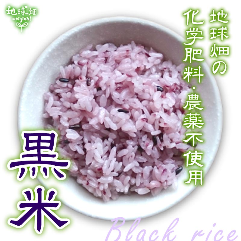 無農薬黒米