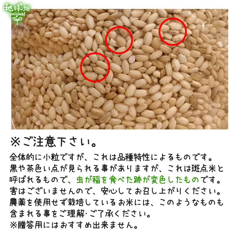 無農薬もち米