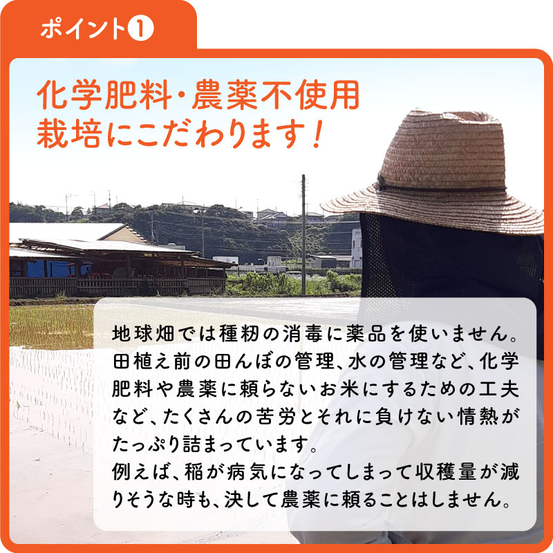 無農薬もち米