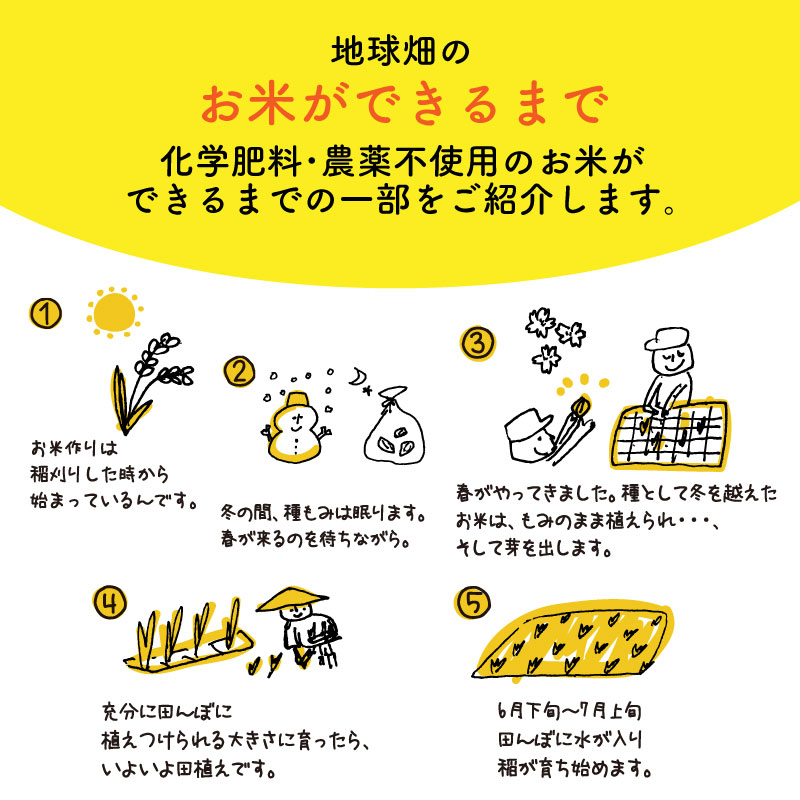 無農薬もち米