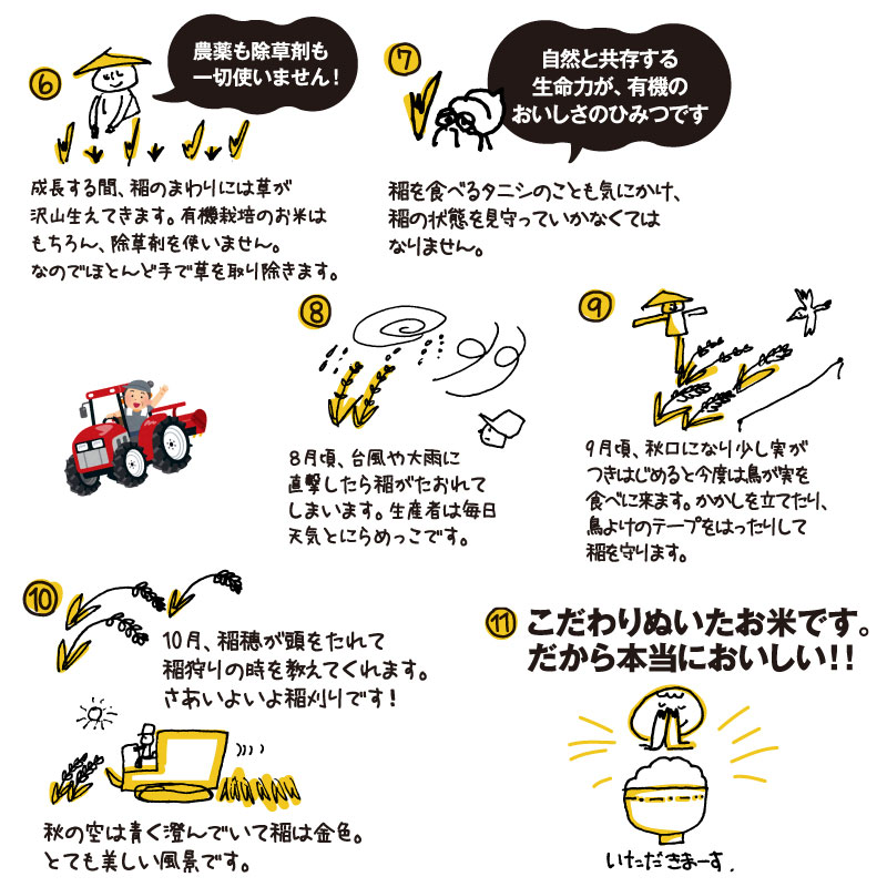 無農薬もち米