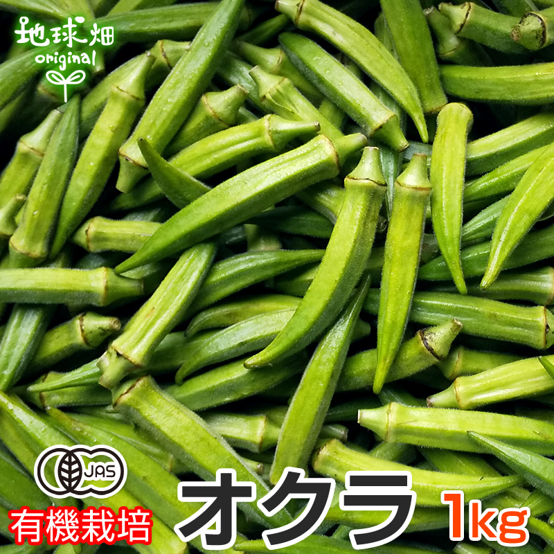 無農薬オクラ