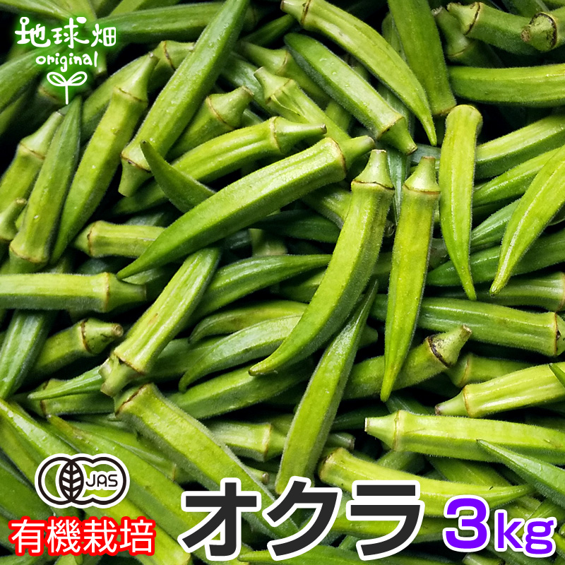 無農薬オクラ