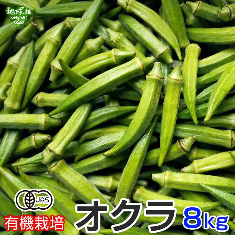 無農薬オクラ