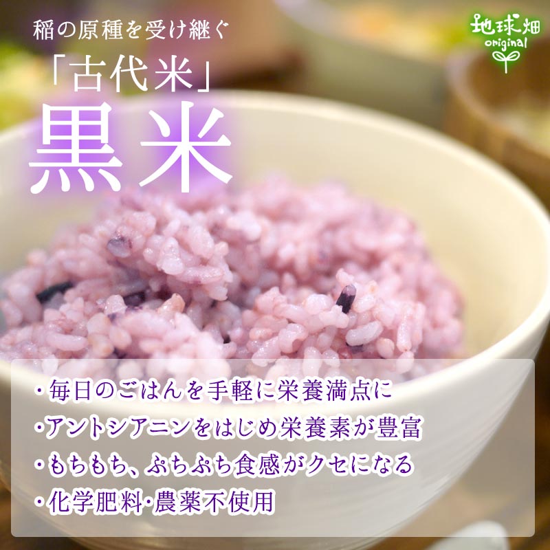 くず米のおすすめ人気商品一覧 通販 - Yahoo!ショッピング