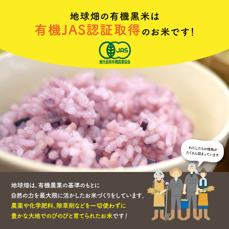 くず米のおすすめ人気商品一覧 通販 - Yahoo!ショッピング