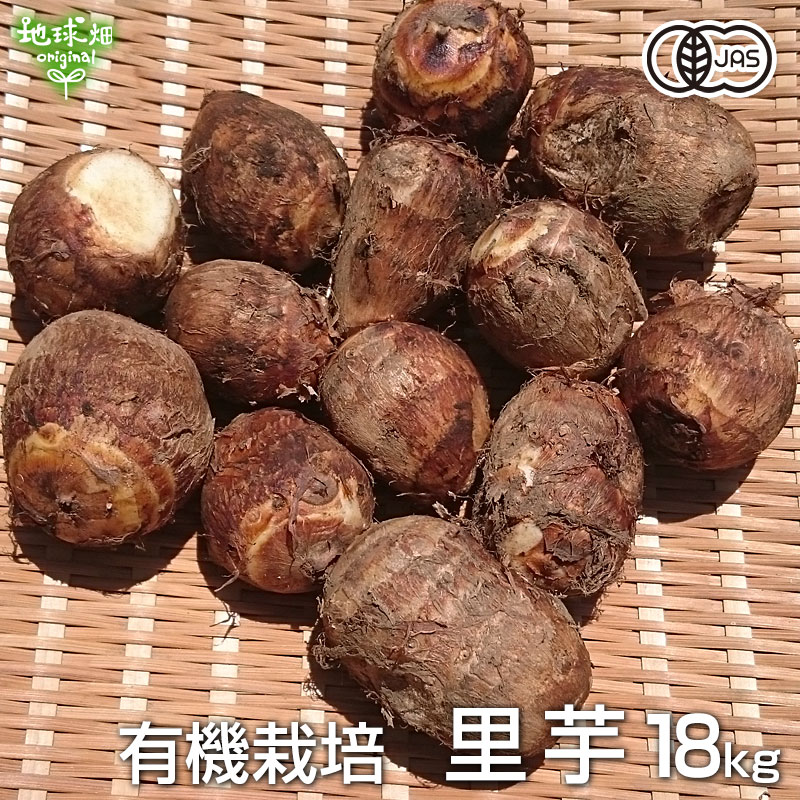 有機里芋