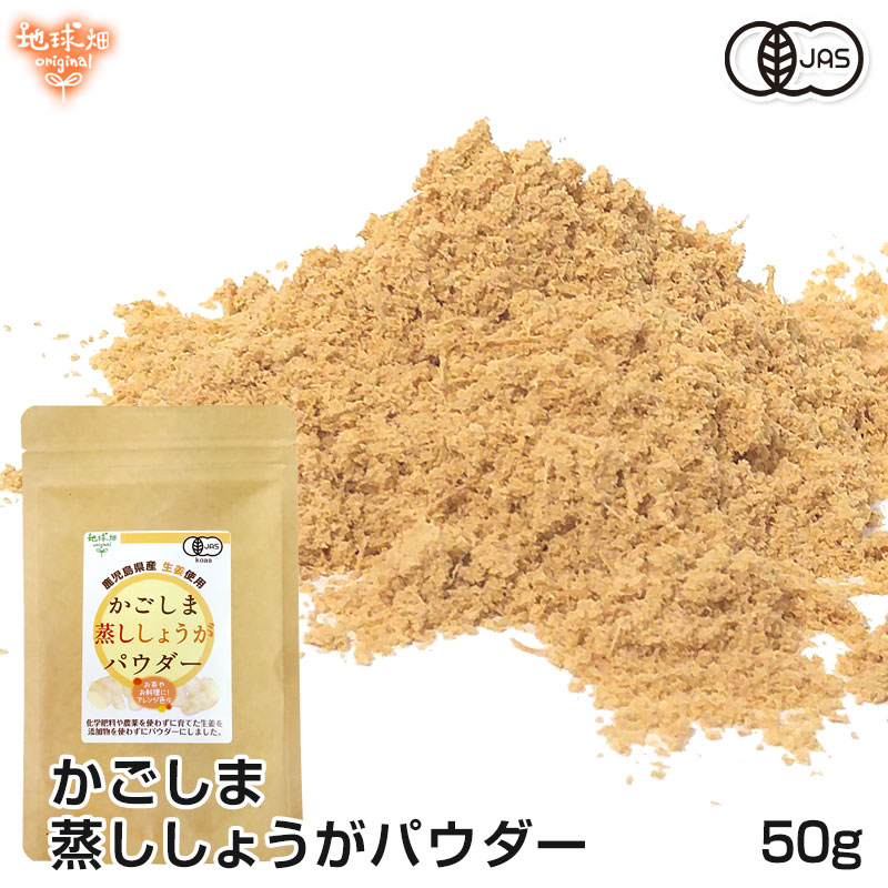 SALE／89%OFF】 高知産黄金しょうが100% しょうが粉末 50g 送料無料 ジンジャー パウダー 乾燥生姜 黄金生姜 坂田信夫商店 