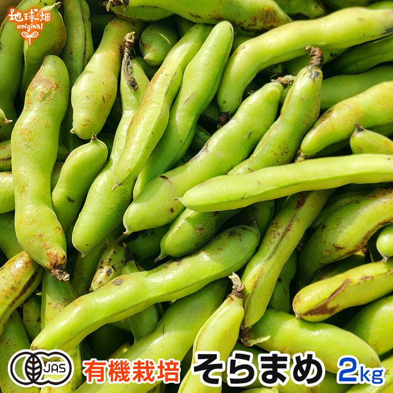 そら豆 2kg 有機栽培 鹿児島県産 農薬・化学肥料不使用 そらまめ 空豆