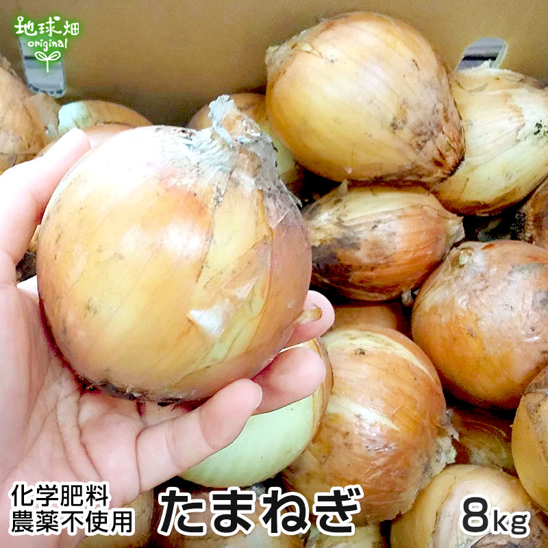 無農薬玉ねぎ