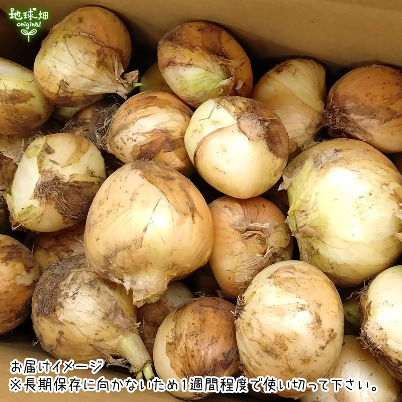 オーガニック 訳あり 玉ねぎ 8kg 有機栽培 鹿児島県産 宮崎県産 熊本県