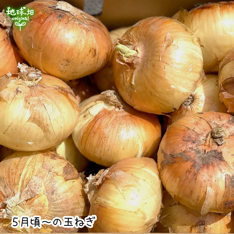 玉ねぎの色