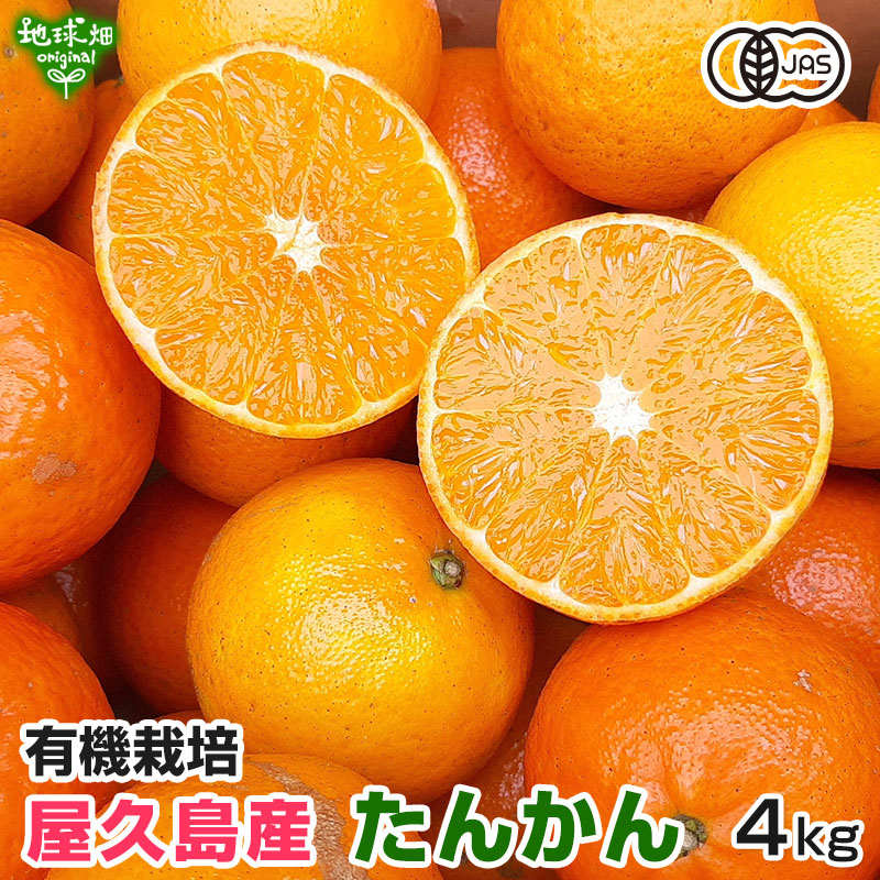 オーガニック たんかん 4kg 有機JAS 屋久島産 大きさおまかせ