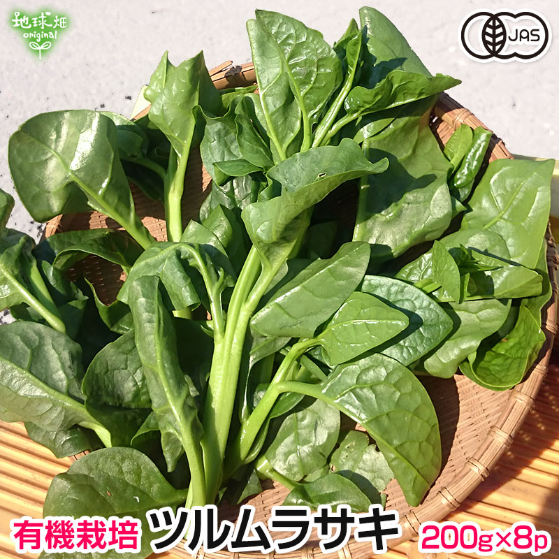 つるむらさき