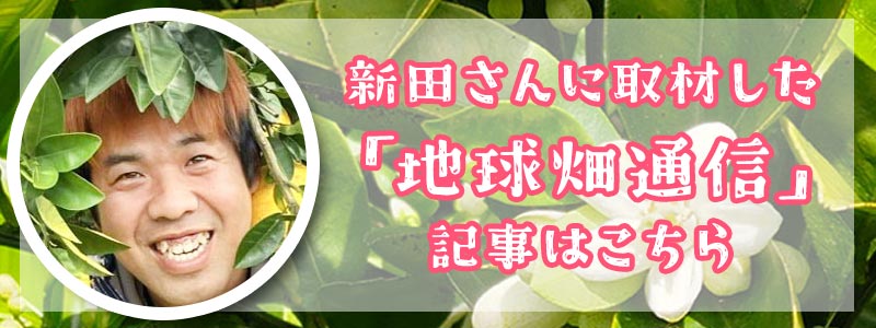 地球畑通信記事