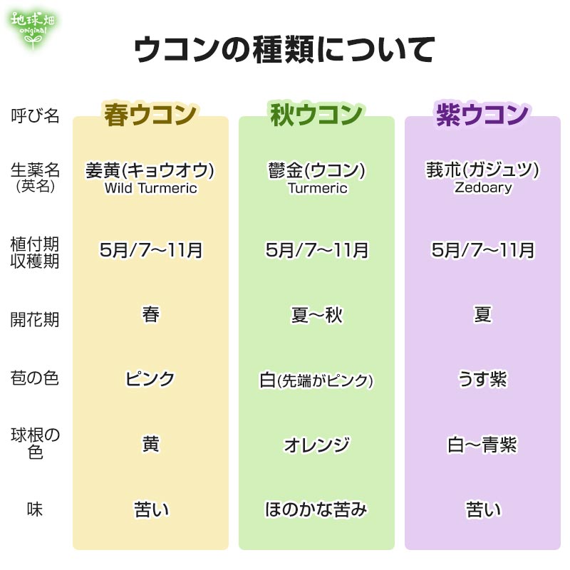 有機ウコン