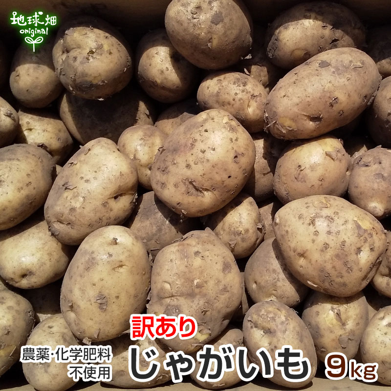 残りわずか 訳あり じゃがいも 9kg 化学肥料・農薬不使用 鹿児島県産