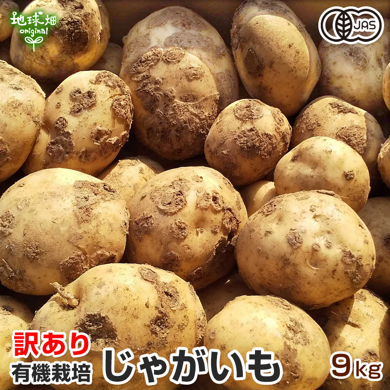 無農薬じゃがいも