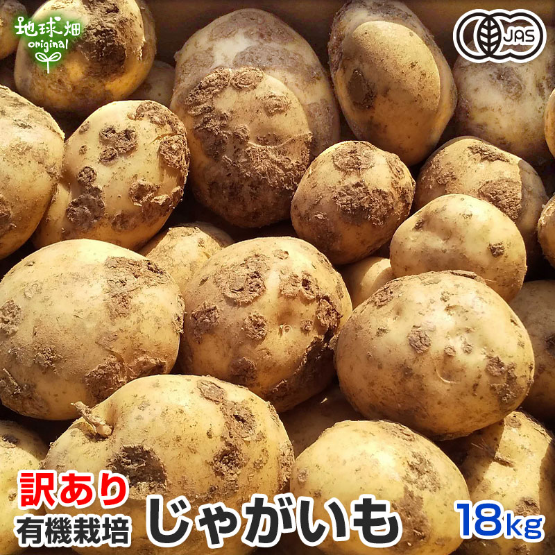 訳あり新じゃが ニシユタカ20kg - 野菜