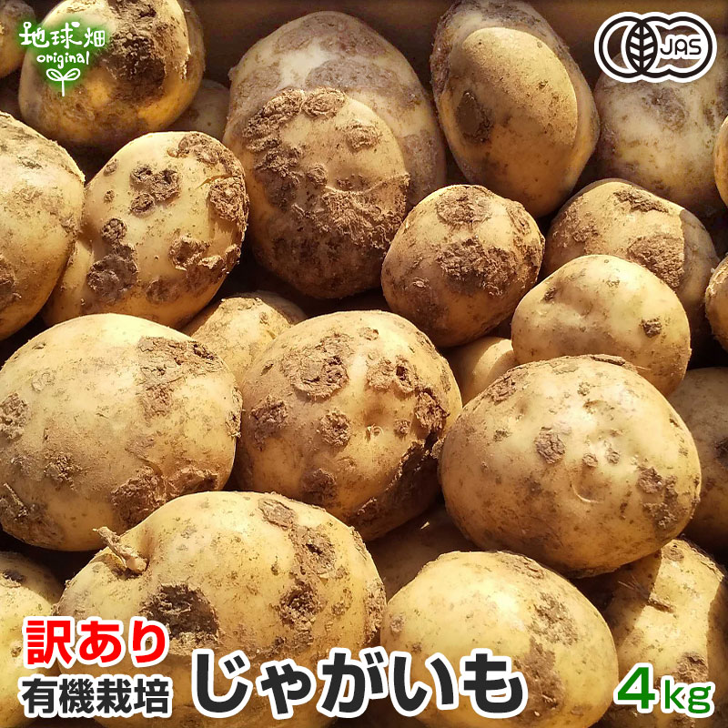 訳あり じゃがいも 4kg 有機栽培 鹿児島県産 宮崎県産 B品 化学肥料