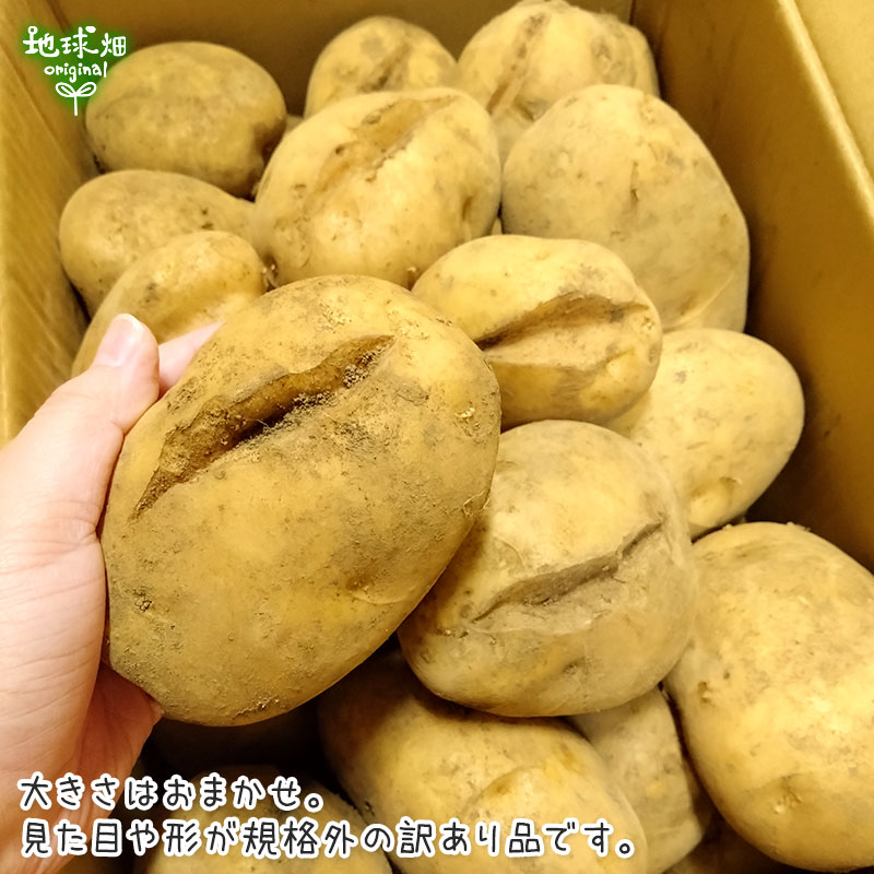 無農薬じゃが
