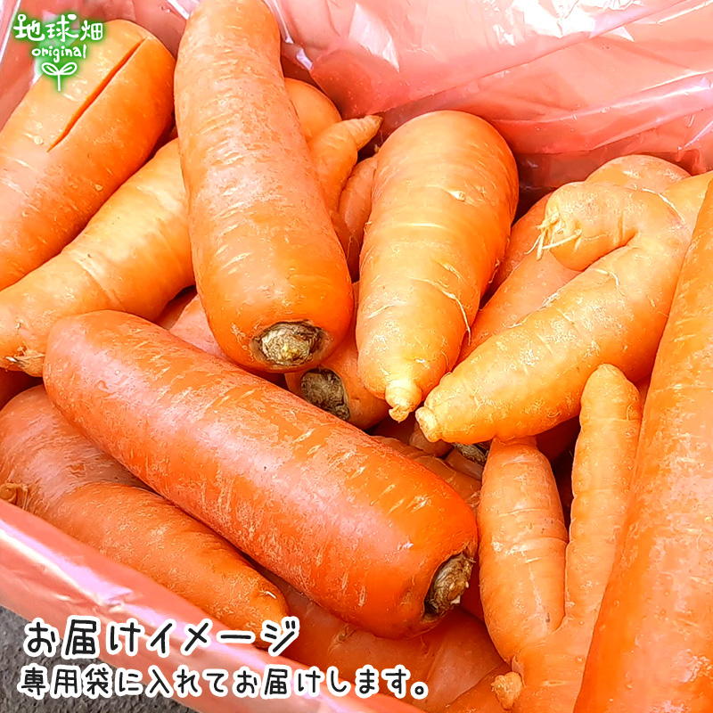 税込 徳島県産 訳ありにんじん5kg 農薬不使用 bonnieyoung.com