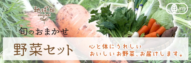 有機野菜セット