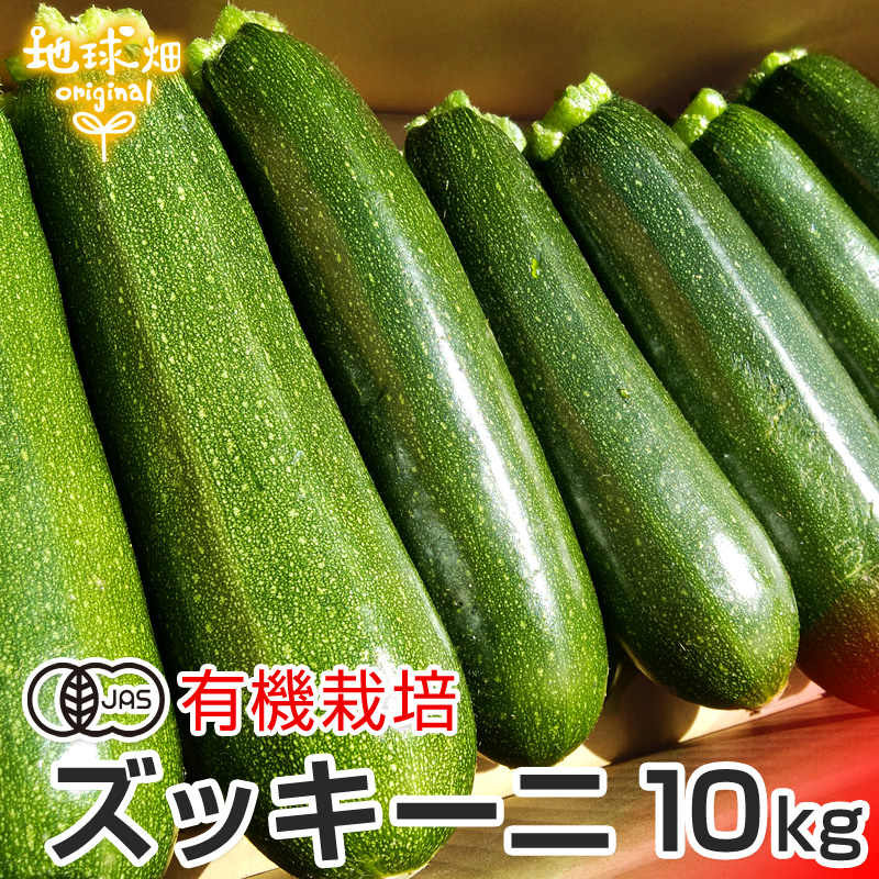 無農薬ズッキーニ