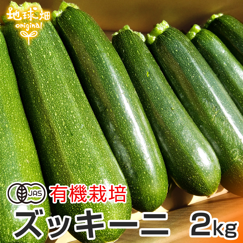 無農薬ズッキーニ