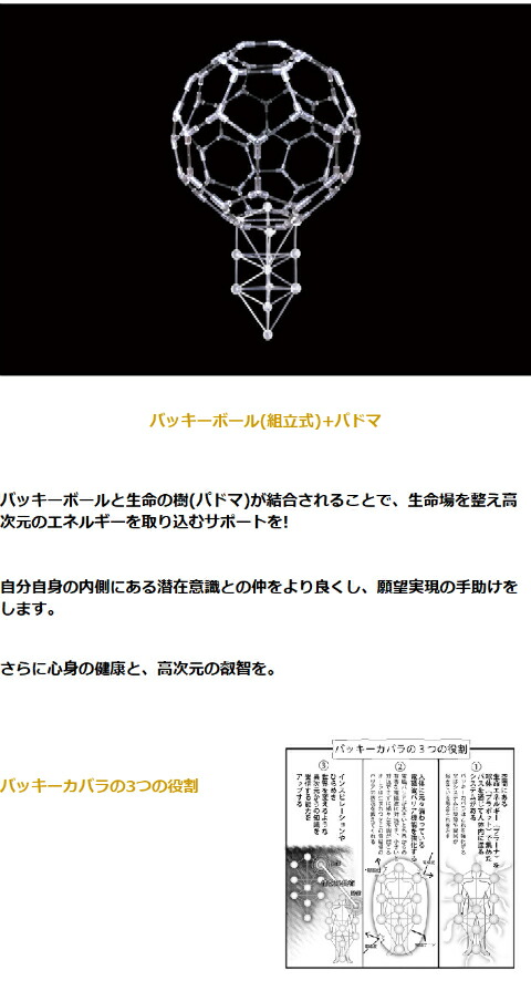 unica（ユニカ） バッキーボール 組立式 + パドマ 丸山アレルギー