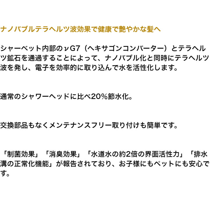 2021新作モデル ナノバブルシャワーヘッド テラシャワー νG ニュージー