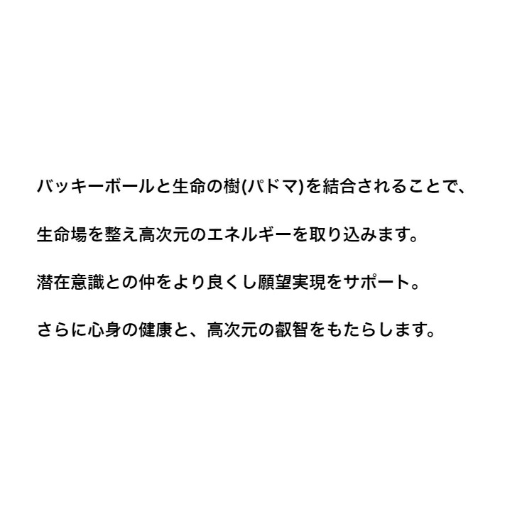 商品画像6