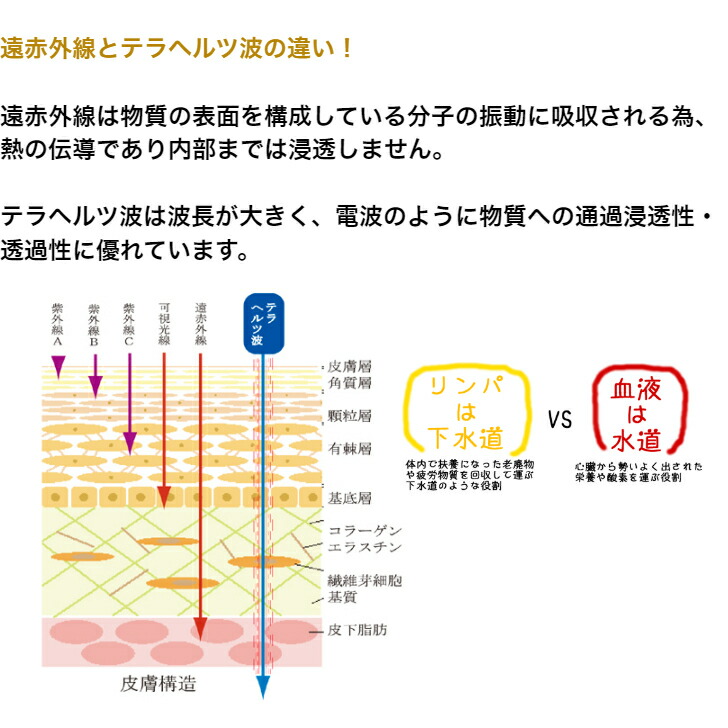 ガムケアスティック カッサーラ工房 テラヘルツ マッサージ 高純度