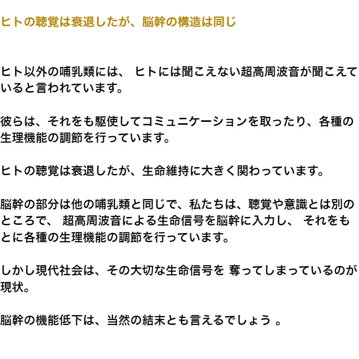 商品画像7