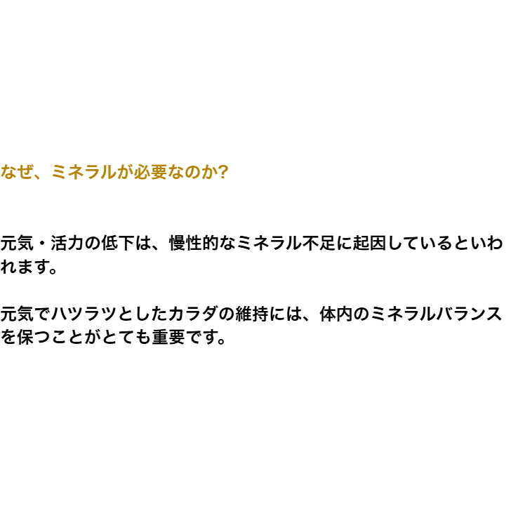 商品画像5
