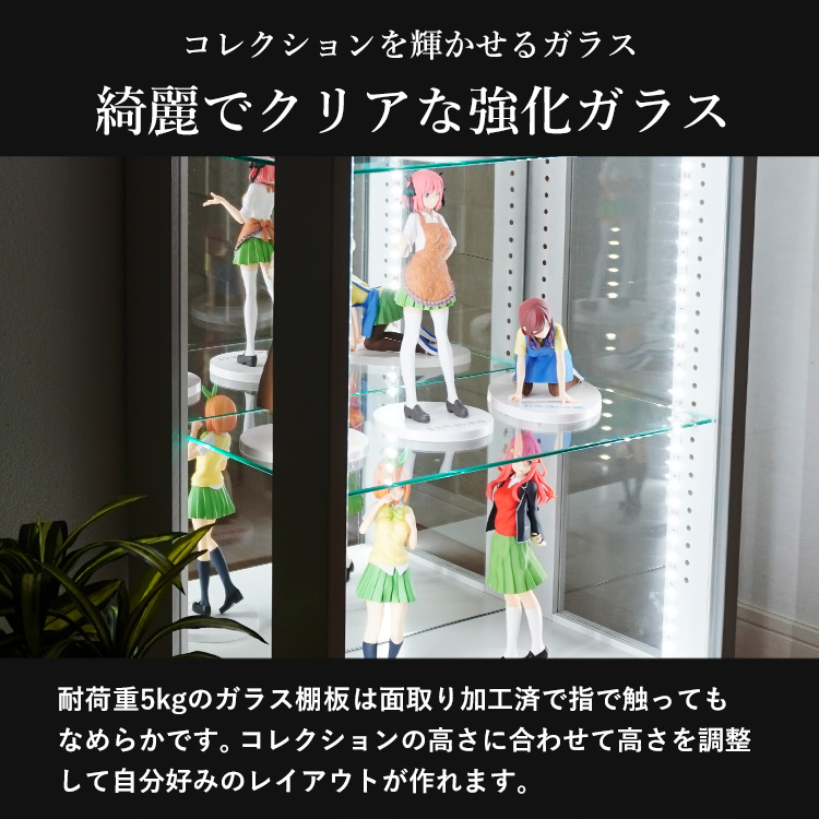 地球家具 コレクションラック DIO ディオ ワイド 側面ガラスタイプ専用