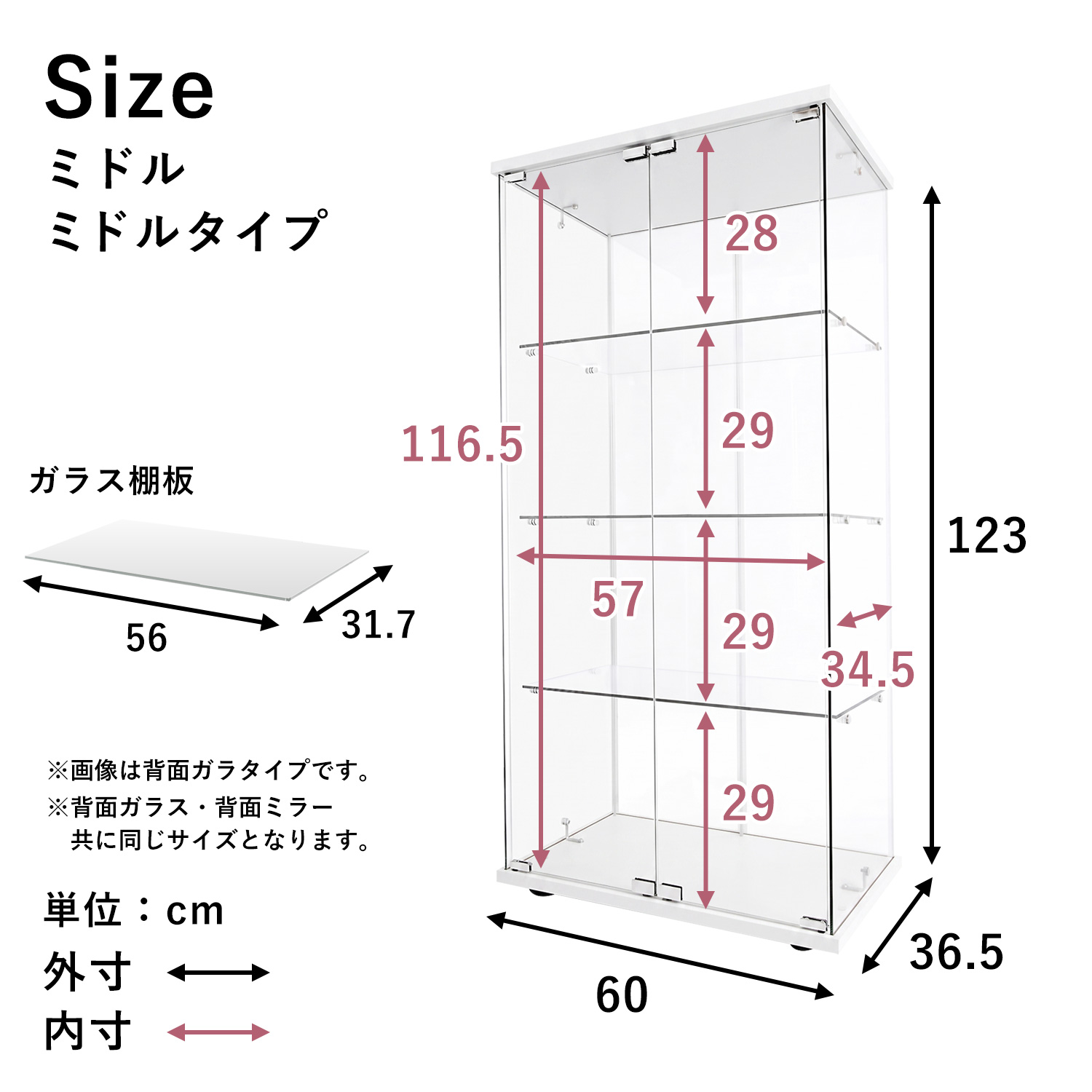 地球家具 ガラスコレクションケース ルミグス LUMIGS 幅60cm ミドル 高