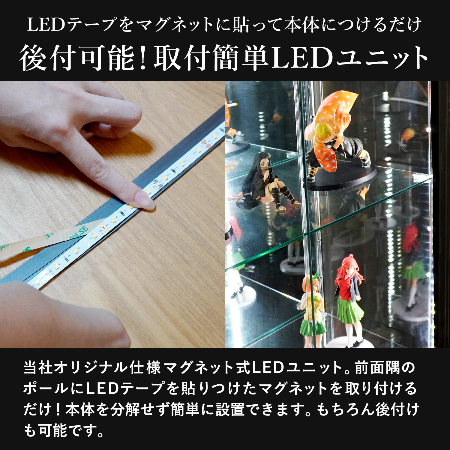 地球家具 ガラスコレクションケース MISTA ミスタ 本体 LEDユニット