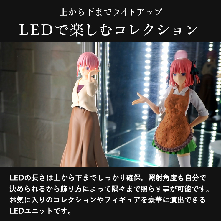 [オプション] ガラスコレクションケース ジョニー JONY ワイド 幅80cm ハイタイプ 対応 LEDユニット 単品 オプション | 地球家具 | 02