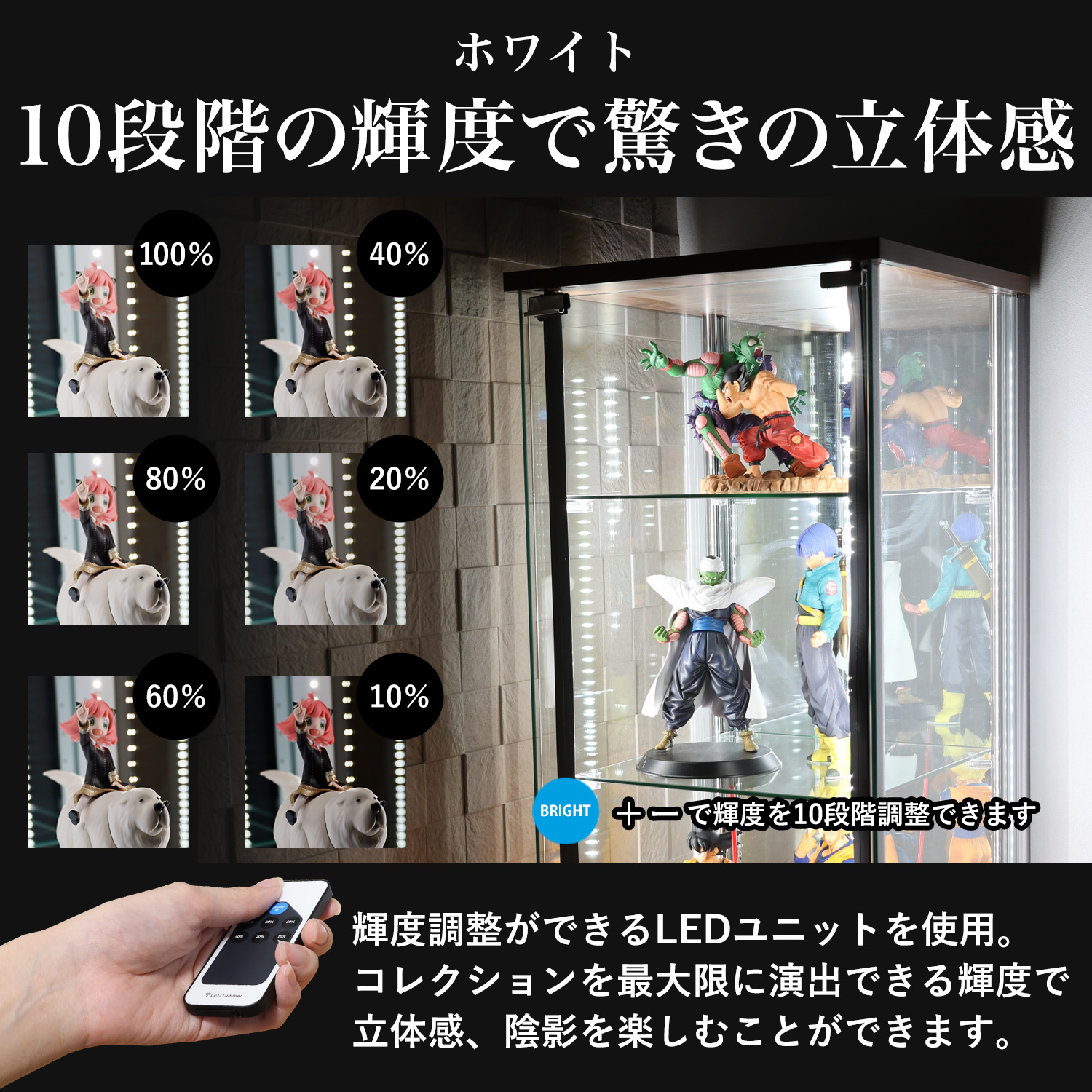 地球家具 ガラスコレクションケース ジョニー JONY 本体 ミドル 幅60cm