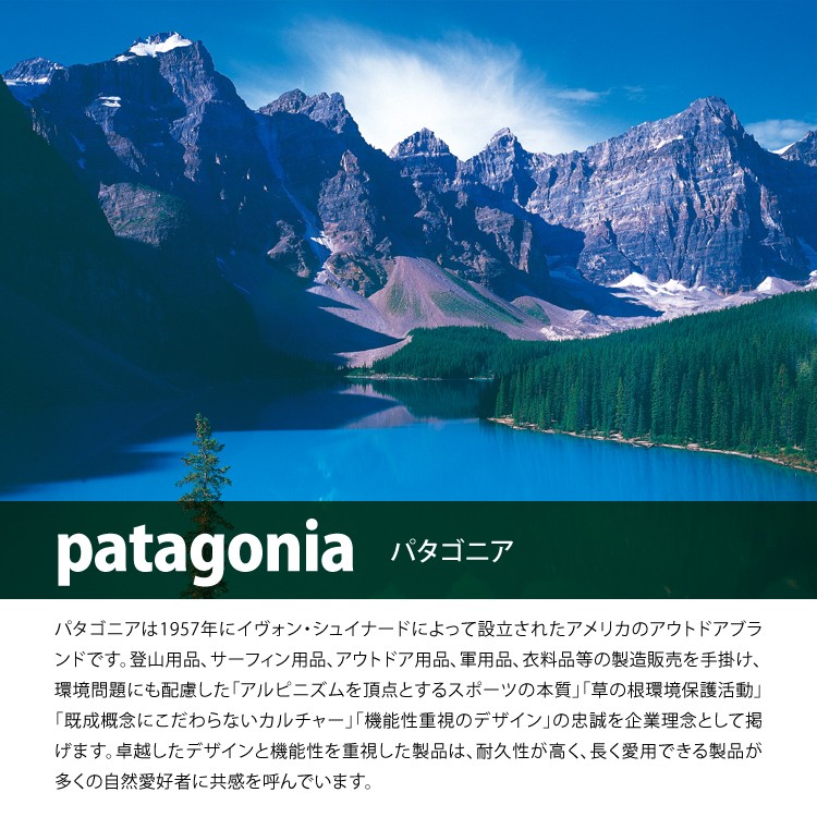 patagonia パタゴニア Tシャツ M's P-6 Logo Responsibili-Tee メンズ・P-6ロゴ・レスポンシビリティー 38504 半袖｜chikyukagu｜20