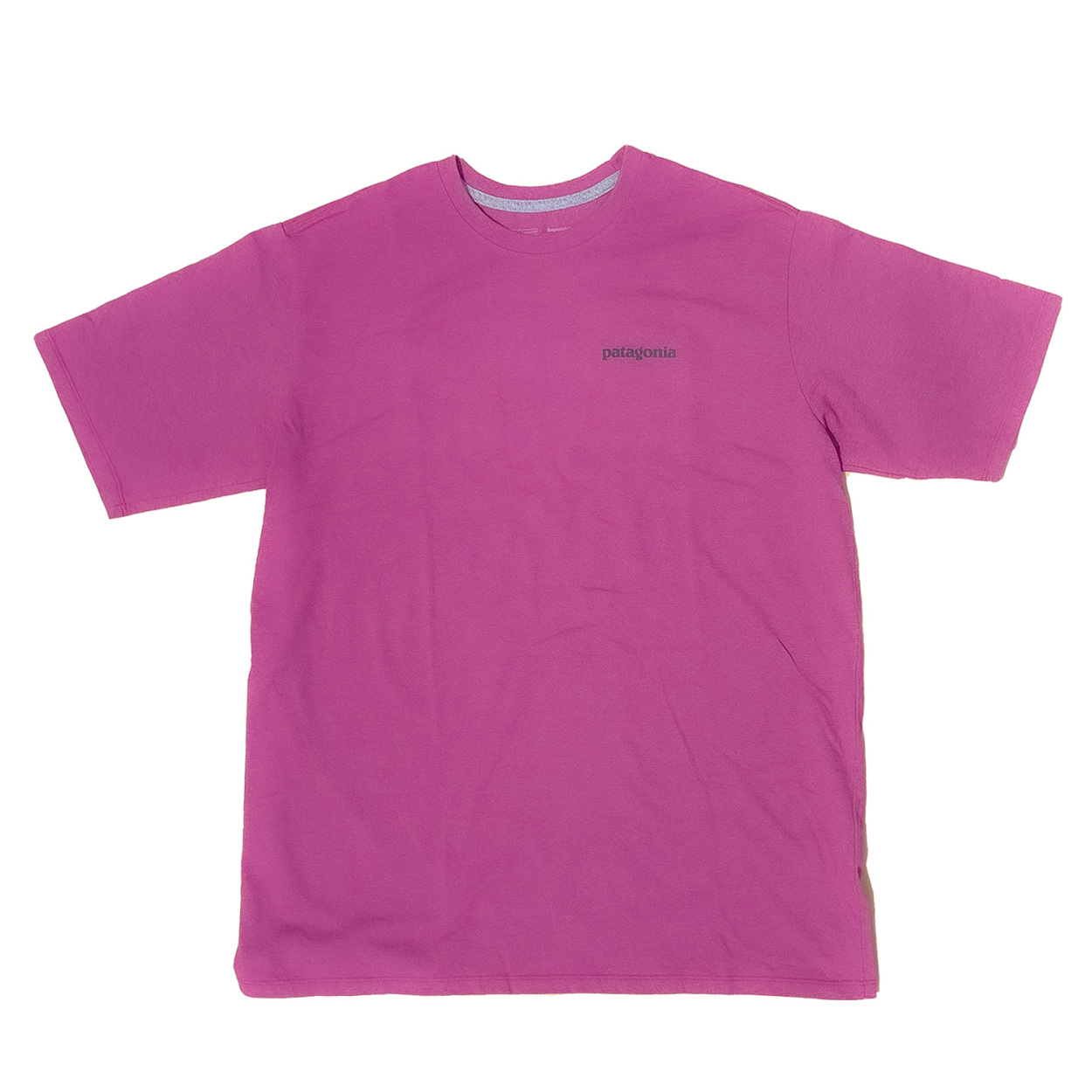 patagonia パタゴニア Tシャツ M's P-6 Logo Responsibili-Tee メンズ・P-6ロゴ・レスポンシビリティー 38504 半袖｜chikyukagu｜07
